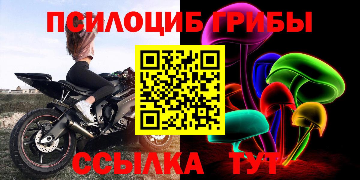 Псилоцибиновые грибы Psilocybe  Вход с VPN  Советская Гавань 