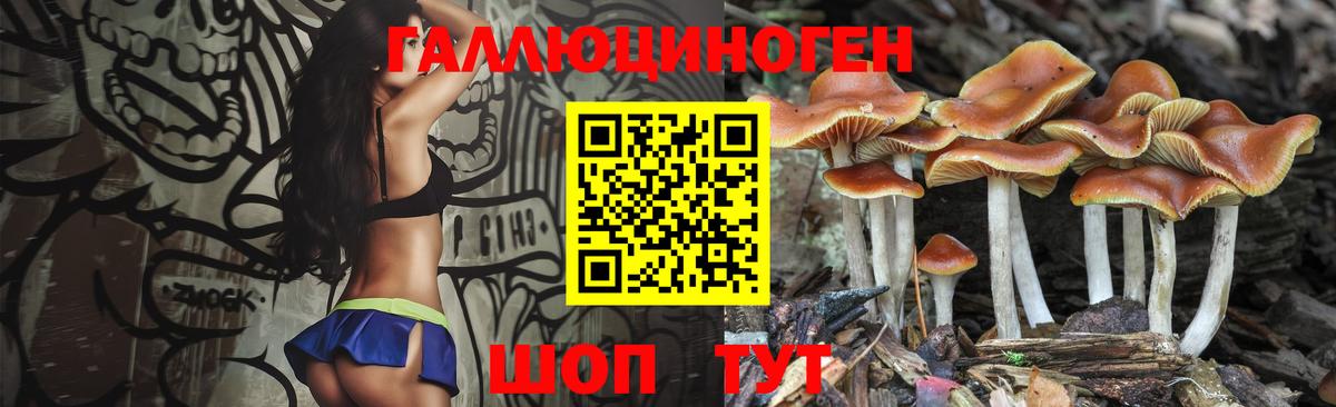 Галлюциногенные грибы MAGIC MUSHROOMS Советская Гавань